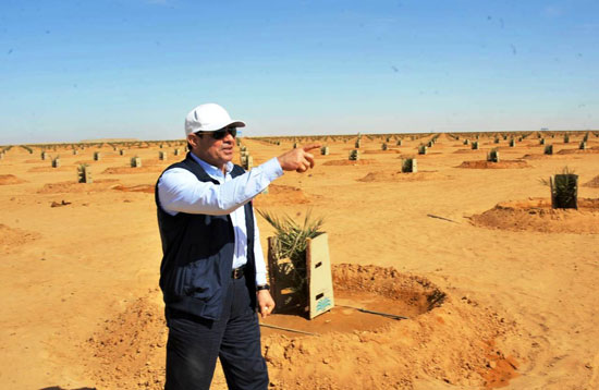 الرئيس السيسى يتفقد عدداً من المشروعات التنموية بمنطقة توشكى (11)