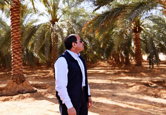الرئيس السيسى يتفقد عدداً من المشروعات التنموية بمنطقة توشكى (12)