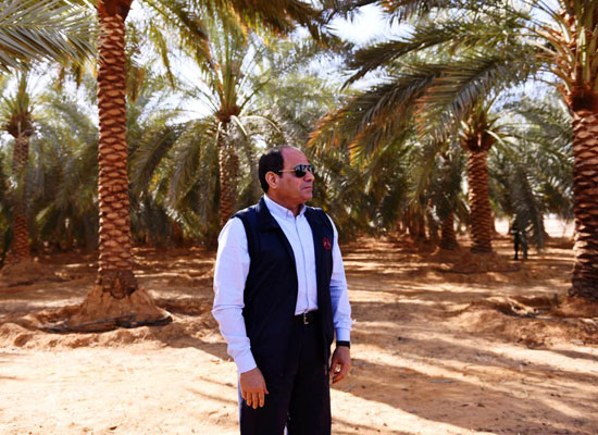 الرئيس السيسى يتفقد عدداً من المشروعات التنموية بمنطقة توشكى (9)
