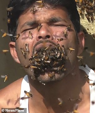 النحل داخل فم الشاب ولا يؤثر عليه