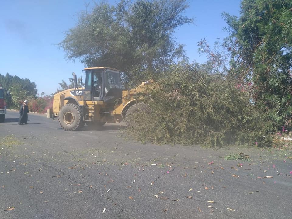 إزالة شجرة سقطت بالطريق السريع وتسيير حركة مرور السيارات بالأقصر (2)