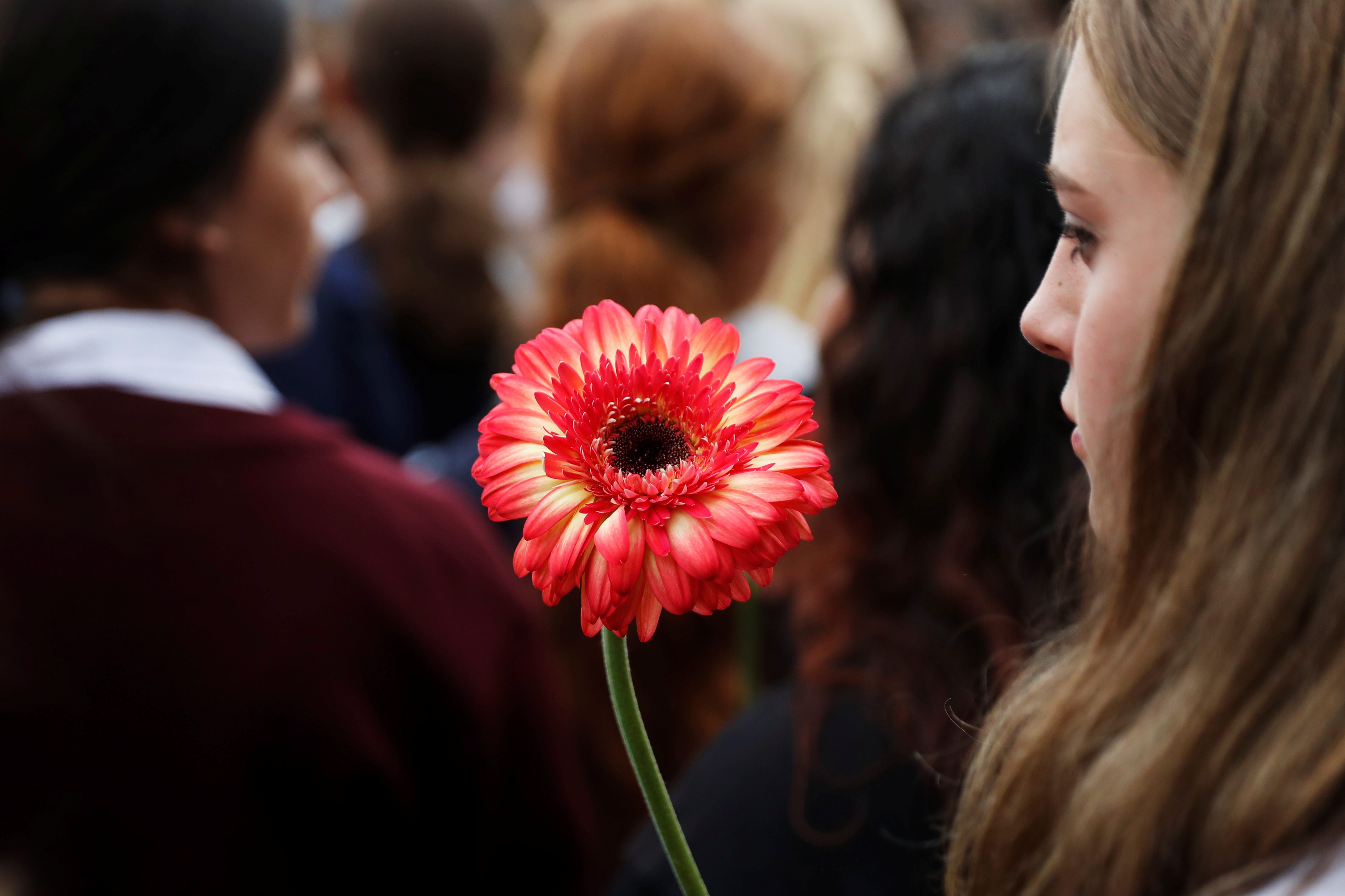 فتاة تحمل وردة لتكريم أرواح الشهداء