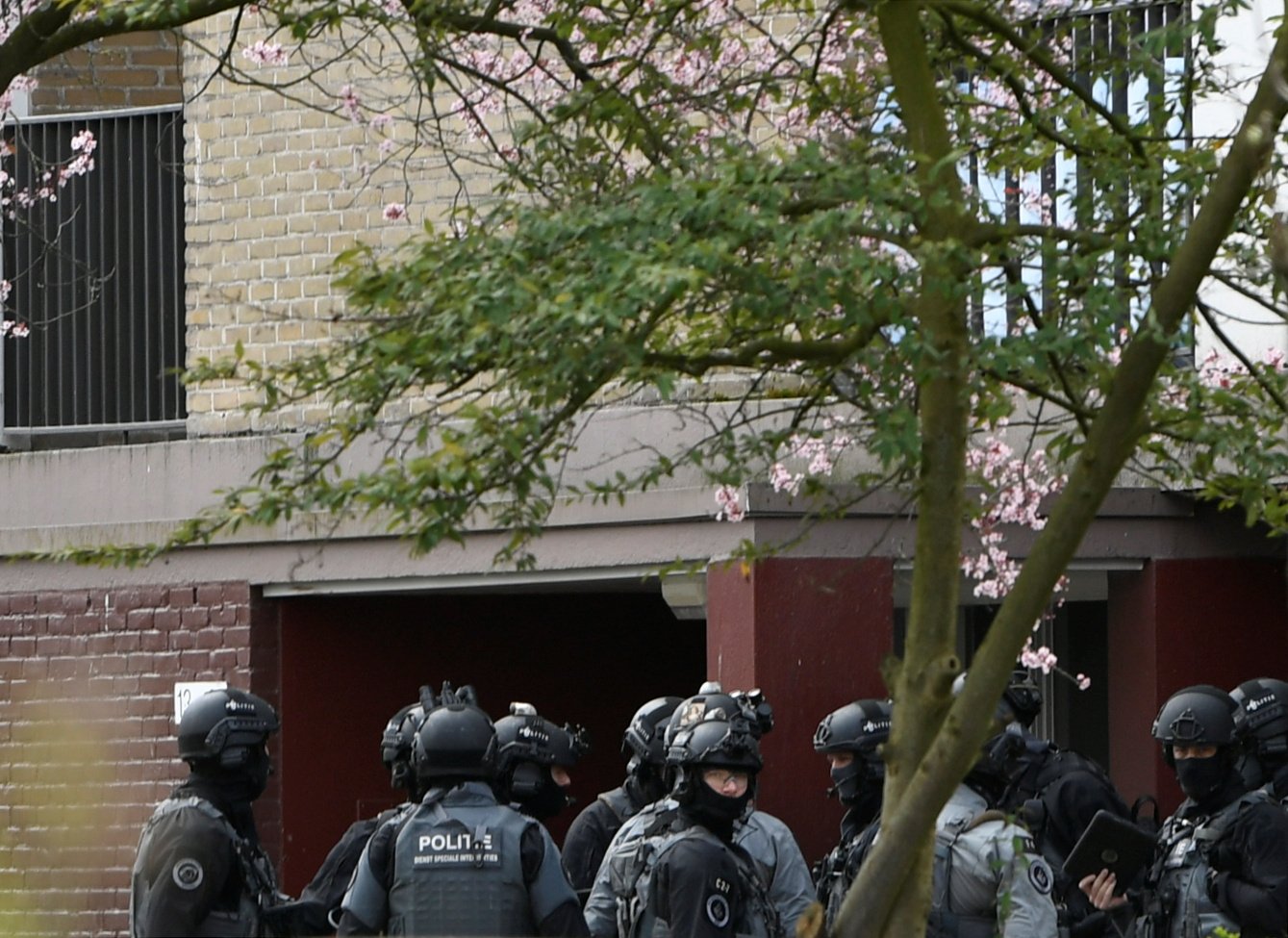 قوات الأمن الهولندية