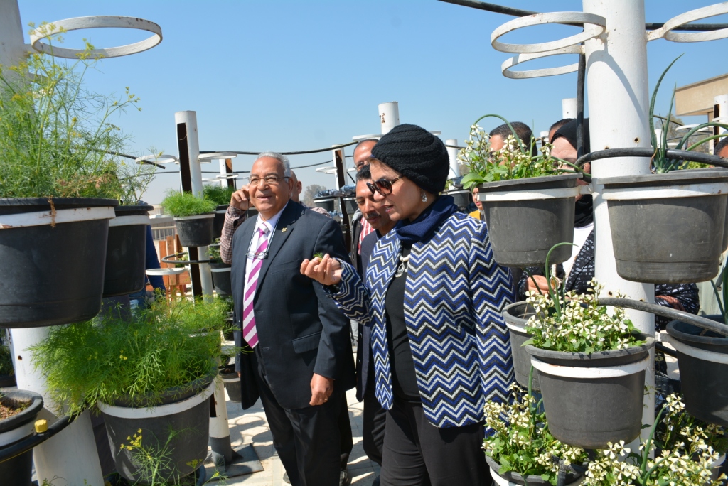 نائب رئيس جامعة أسيوط تشهد افتتاح نموذج زراعة الأسطح بكلية الزراعة (7)
