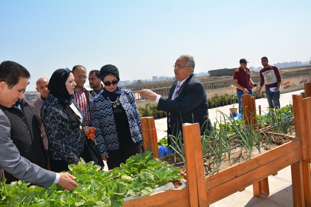 نائب رئيس جامعة أسيوط تشهد افتتاح نموذج زراعة الأسطح بكلية الزراعة (15)