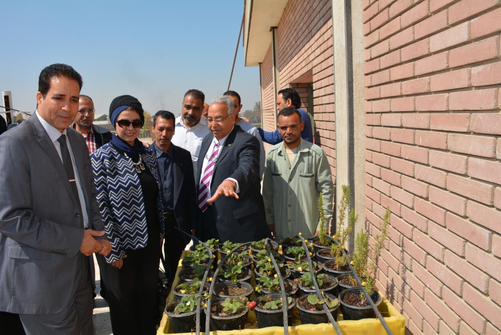 نائب رئيس جامعة أسيوط تشهد افتتاح نموذج زراعة الأسطح بكلية الزراعة (2)