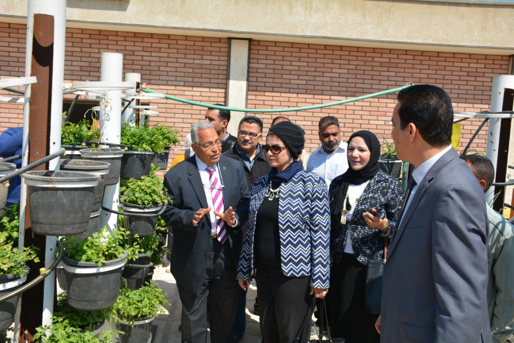 نائب رئيس جامعة أسيوط تشهد افتتاح نموذج زراعة الأسطح بكلية الزراعة (6)