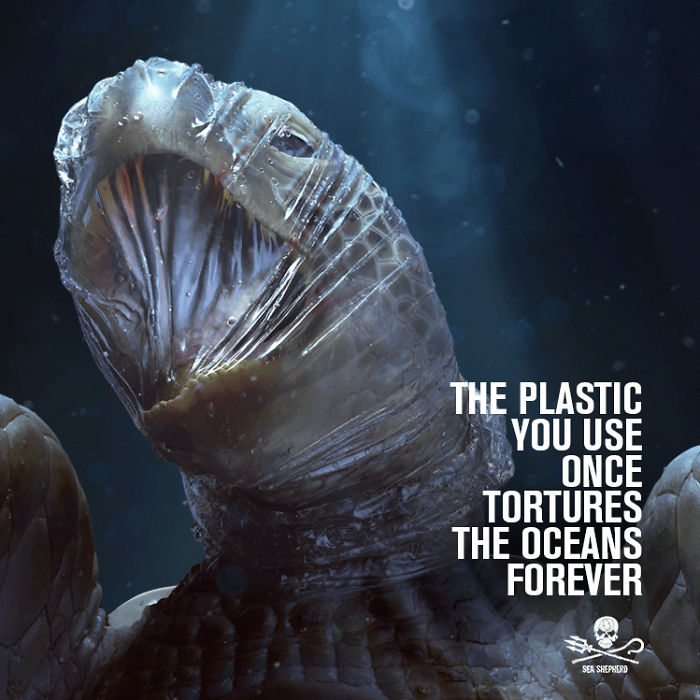 حملة ضد أضرار البلاستيك  (5)