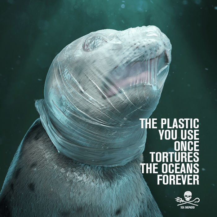 حملة ضد أضرار البلاستيك  (6)
