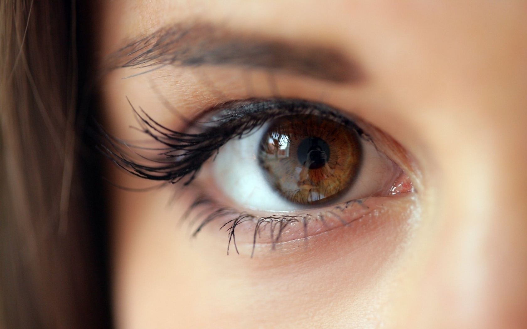 6 صفات لأصحاب العيون البنية (3)