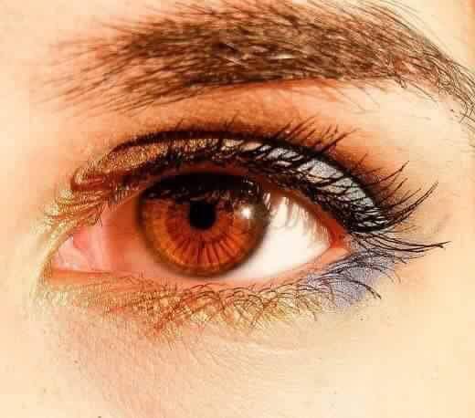 6 صفات لأصحاب العيون البنية (4)