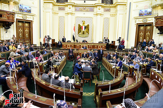 مجلس النواب (27)