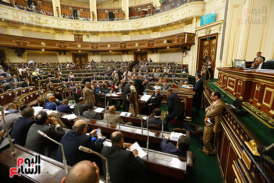 مجلس النواب (46)