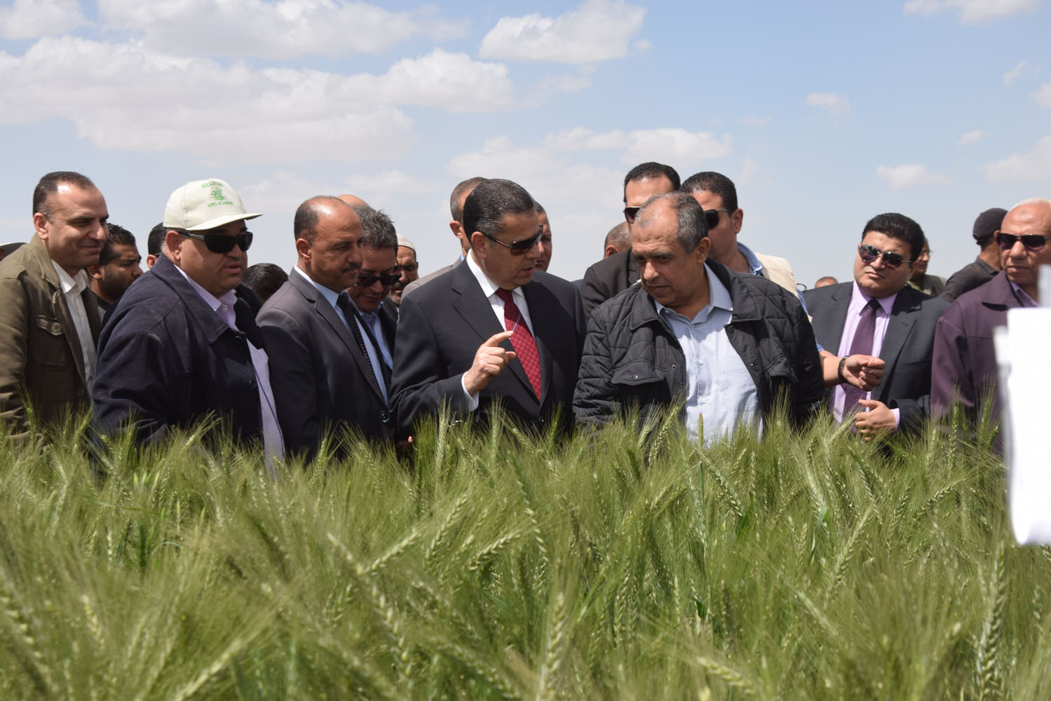 جولة وزير الزراعة ومحافظ بنى سويف بمحطة البحوث بسدس (3)