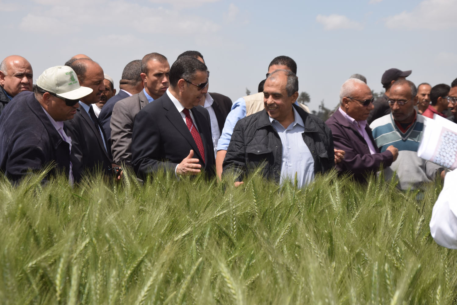 جولة وزير الزراعة ومحافظ بنى سويف بمحطة البحوث بسدس (2)