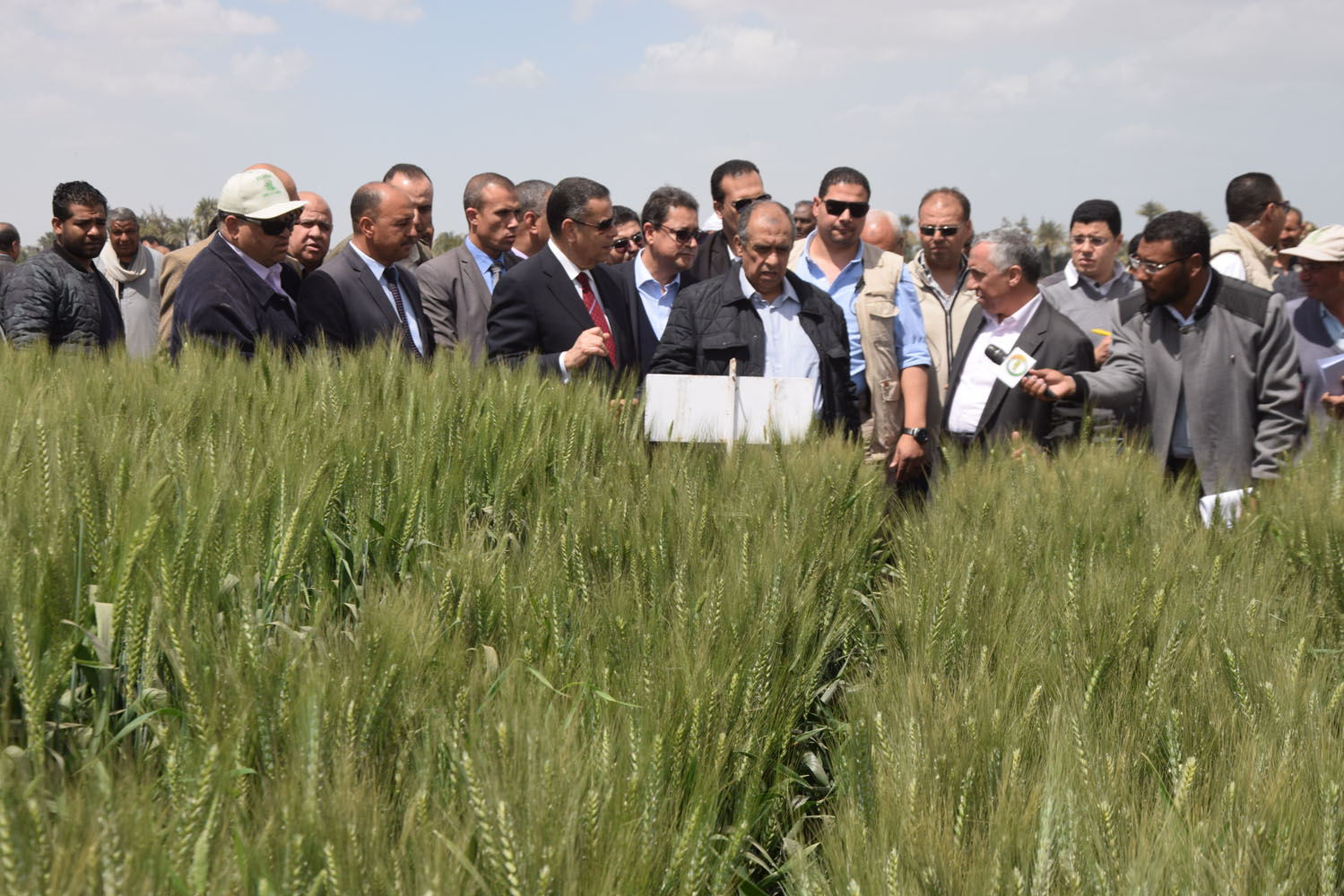 جولة وزير الزراعة ومحافظ بنى سويف بمحطة البحوث بسدس (1)