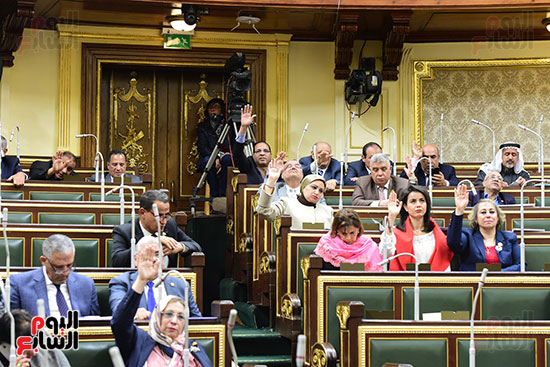 مجلس النواب - جلسته العامة (7)