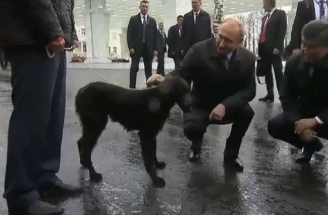 بوتين والكلب