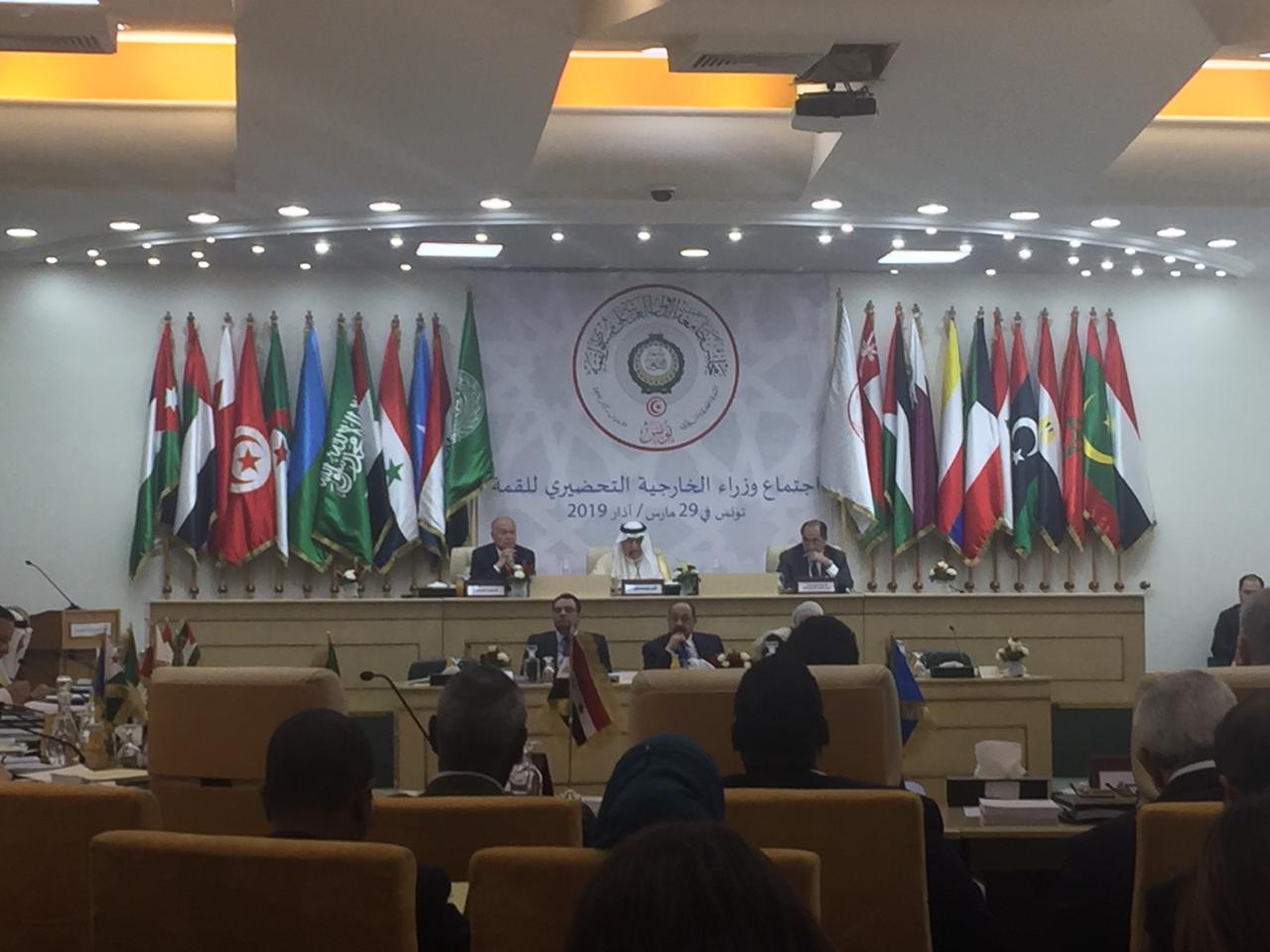 اجتماع وزراء الخارجية العرب (3)