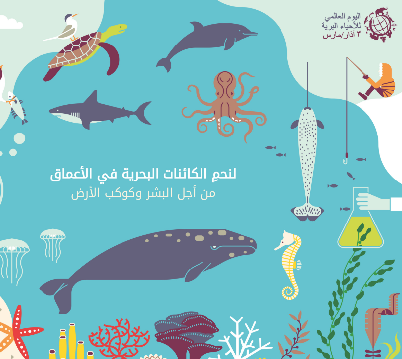 اعرف ليه العالم بيحتفل باليوم العالمى للأحياء البرية 5 معلومات اليوم السابع