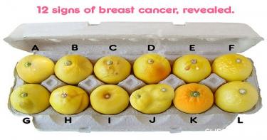 سرطان الثدي 1