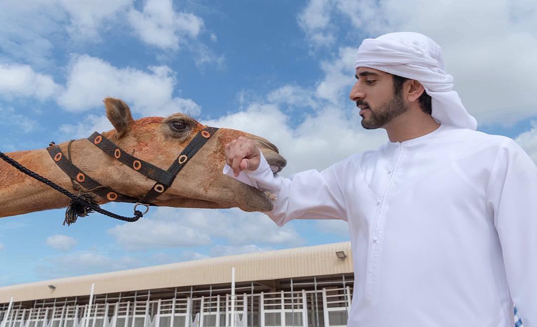 الأمير حمدان بن محمد بن راشد مع الجمل