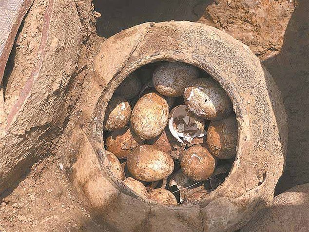 اكتشاف بيض يعود تاريخه إلى 2500 عاما