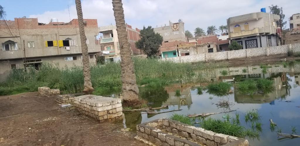 غرق شوارع قرية الشهيدى فى المحلة بالصرف الصحى (1)
