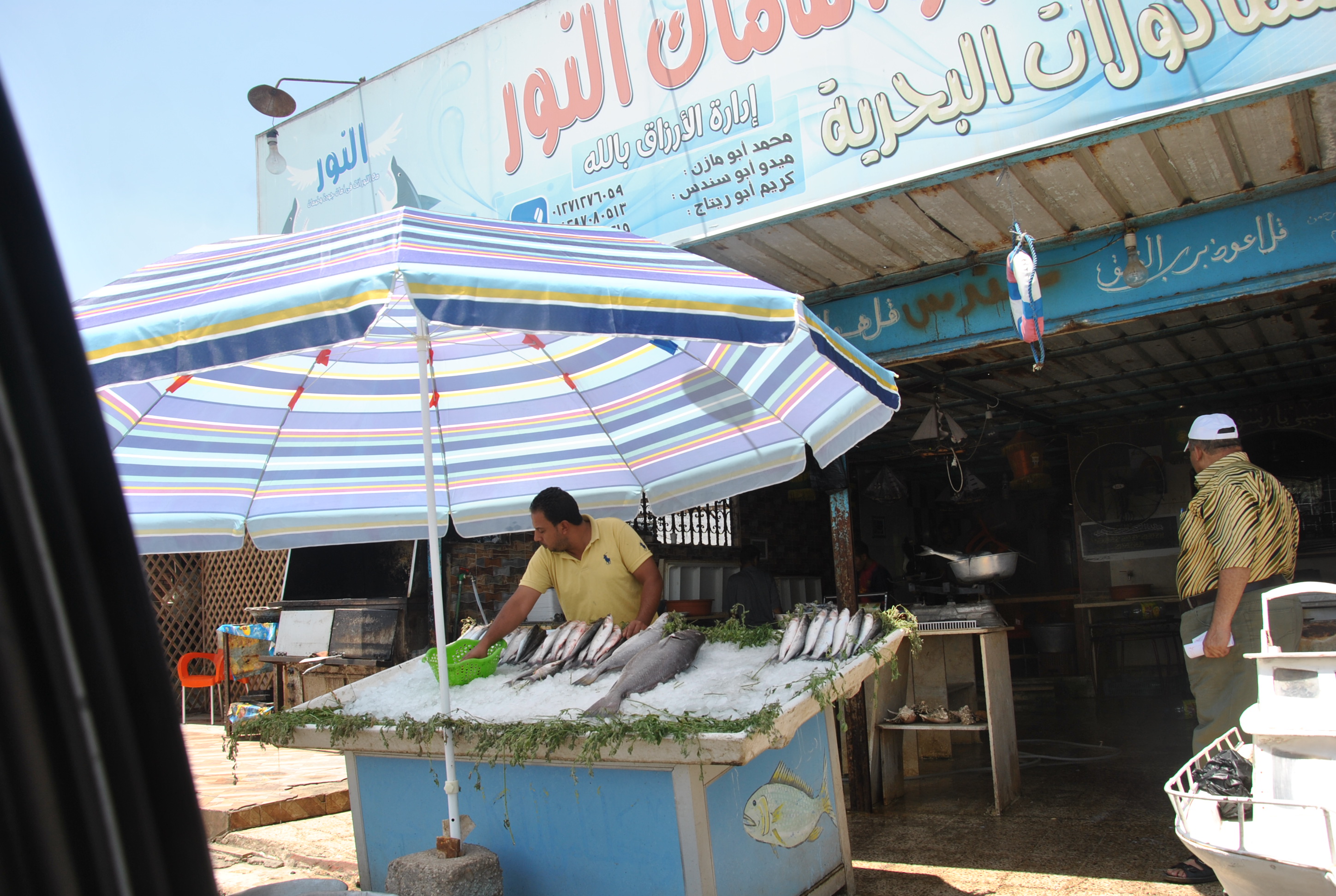 4- محلات بيع الاسماك