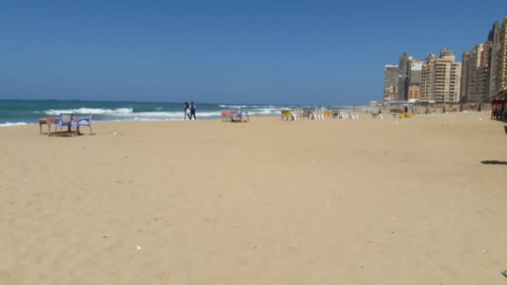 شواطئ الإسكندرية تستعد للصيف (10)