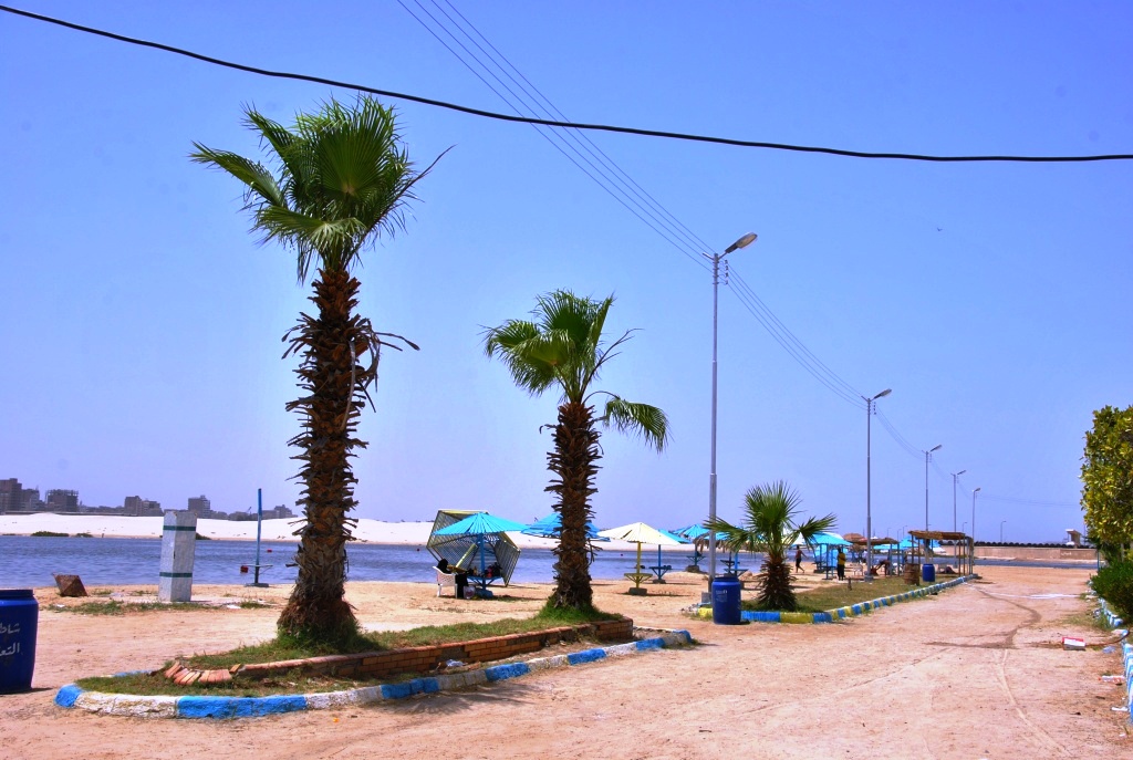 6- جانب من شواطىء فايد