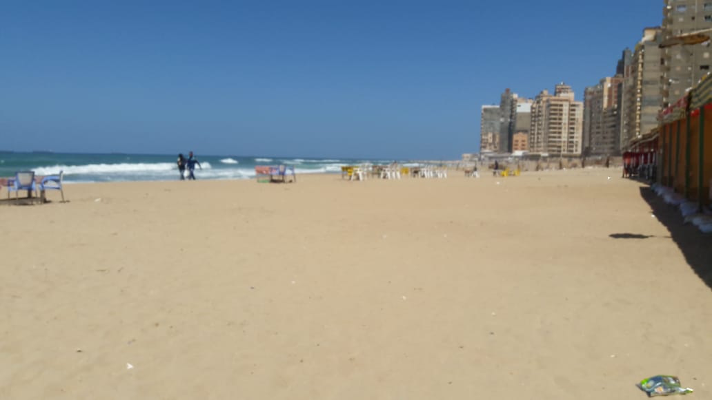 شواطئ الإسكندرية تستعد للصيف (13)