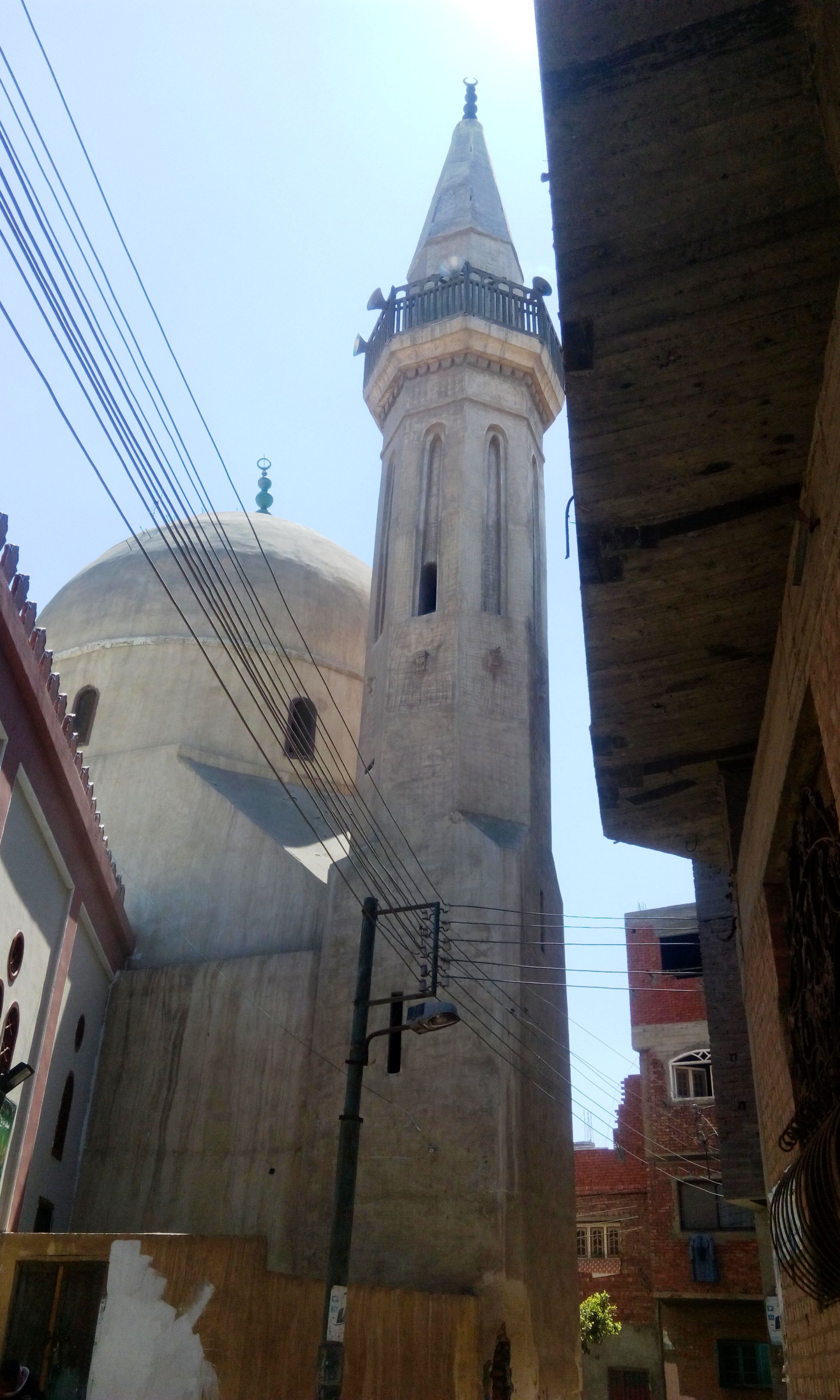  مسجد سيدى داود العزب بالغربية (11)