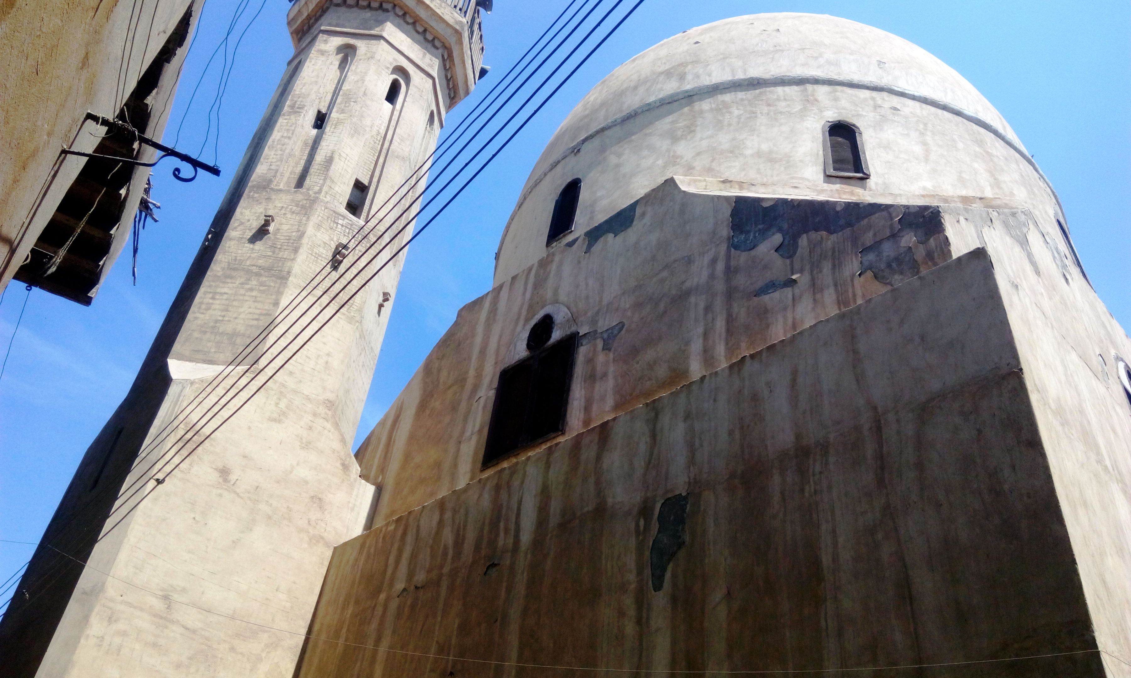  مسجد سيدى داود العزب بالغربية (12)