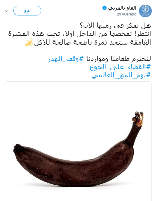 الفاو 1