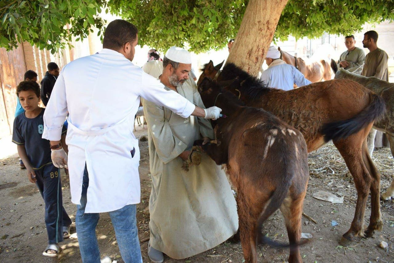 قافلة طبية مجمعة لخدمة أهالى قرية أولاد على  (9)