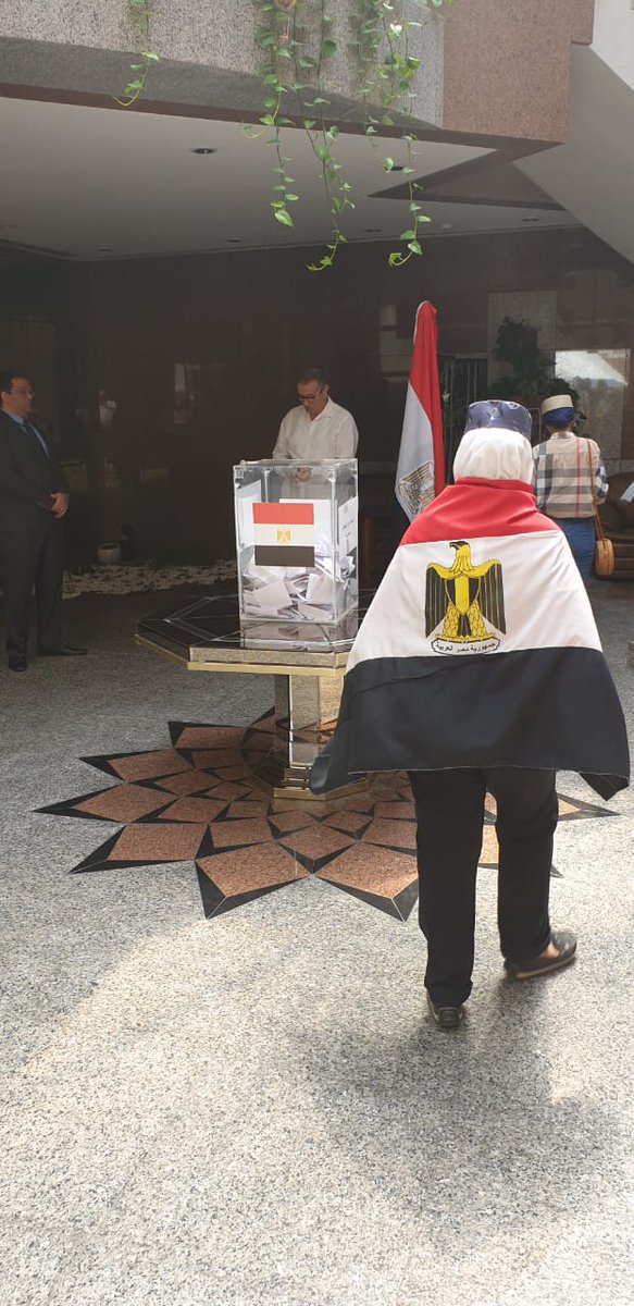 مواطن يحمل علم مصر خلال المشاركة فى الاستفتاء