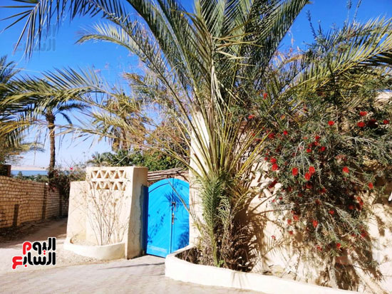 صور تحكى عن الطراز المعمارى الفريد لقرية تونس بالفيوم (24)