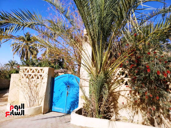 صور تحكى عن الطراز المعمارى الفريد لقرية تونس بالفيوم (29)