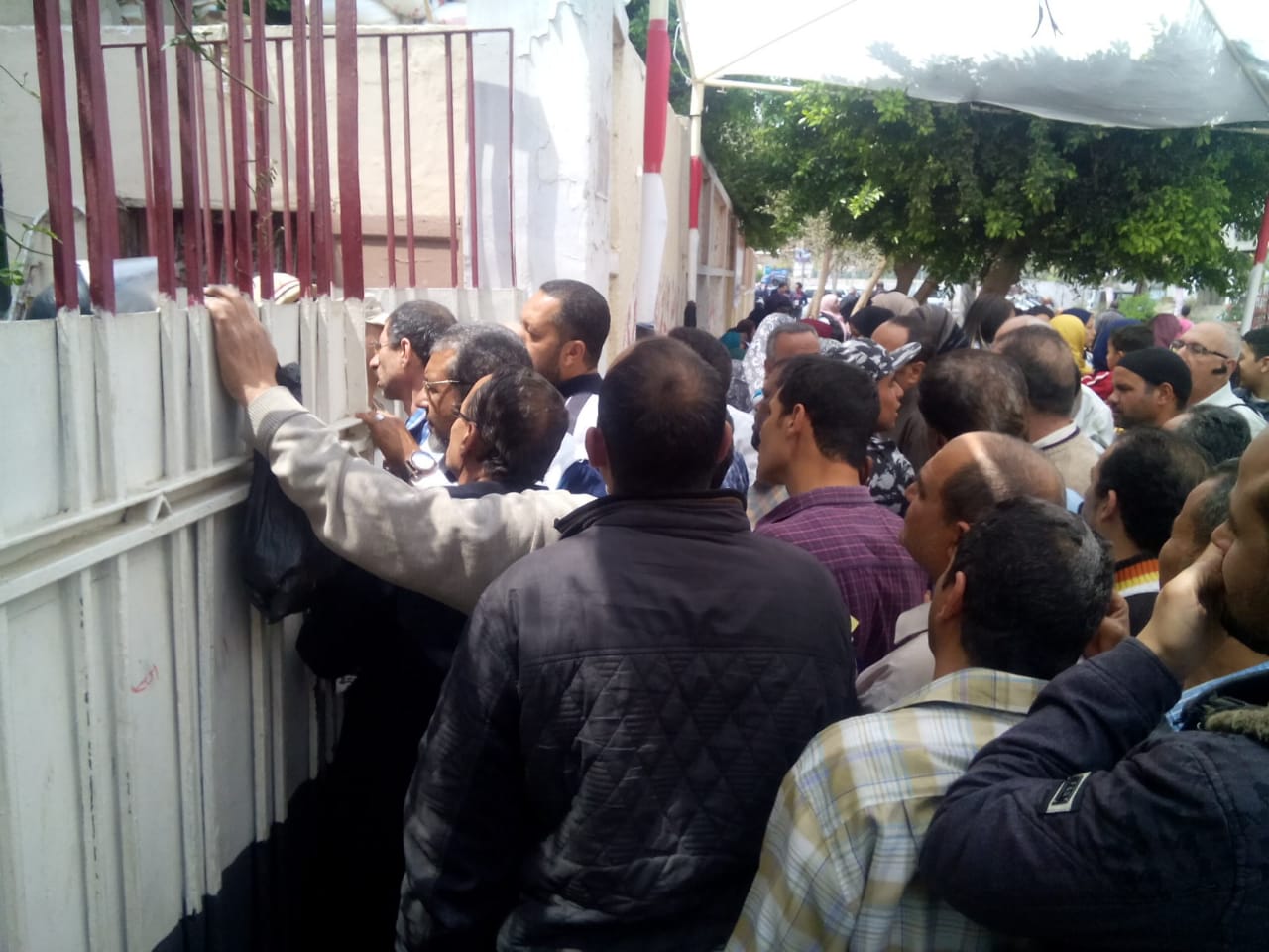 عمال هيئة النقل العام بالقاهرة يشاركون فى استفتاء الدستور (5)