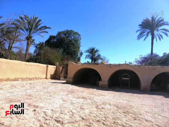 صور تحكى عن الطراز المعمارى الفريد لقرية تونس بالفيوم (21)