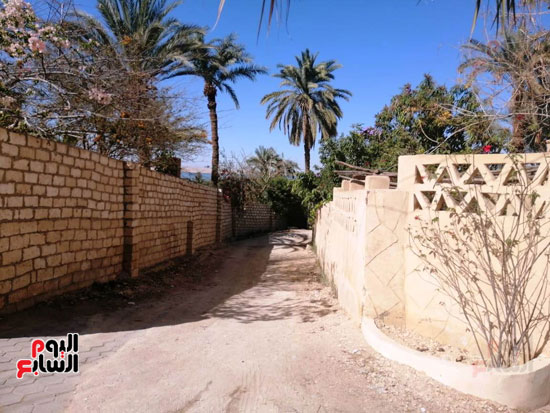 صور تحكى عن الطراز المعمارى الفريد لقرية تونس بالفيوم (12)