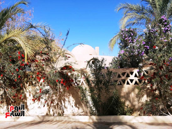 صور تحكى عن الطراز المعمارى الفريد لقرية تونس بالفيوم (26)