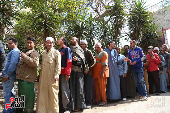  اللجان الانتخابية بالقاهرة (15)