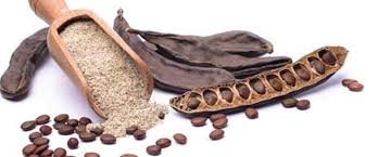 فوائد الخروب