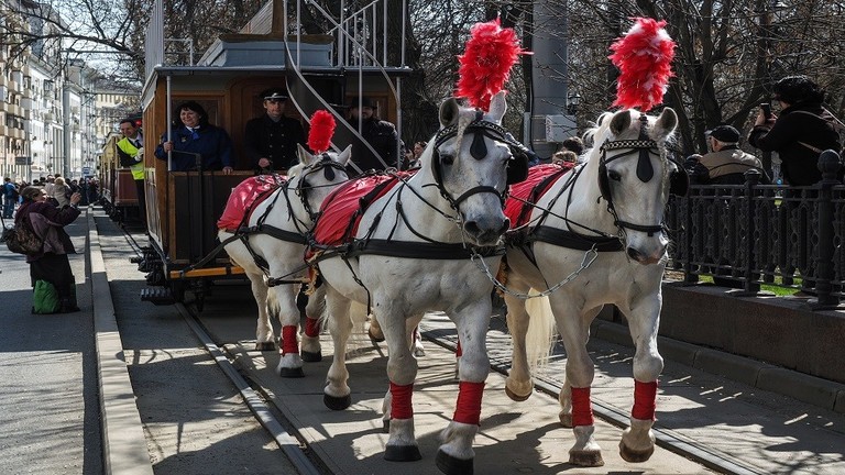 ترام الخيول يشارك فى الاستعراض السنوى فى روسيا