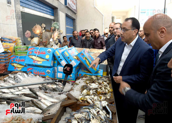 مصطفى مدبولى سوق السمك (2)