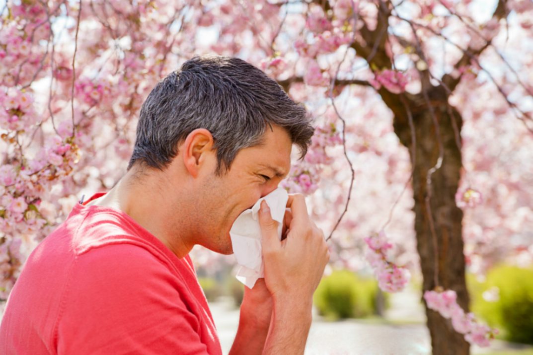 علاج حساسية الربيع بطرق عدة