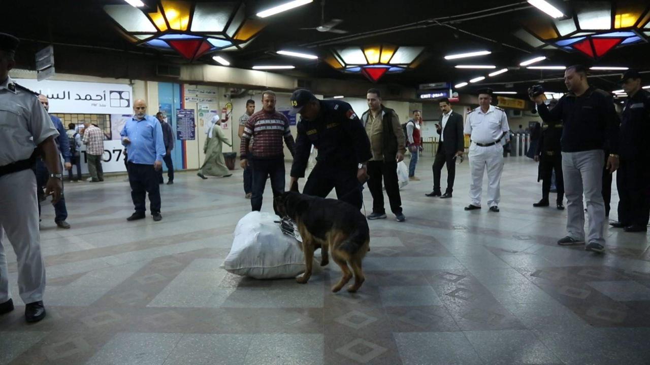 الكلاب البوليسة تمشط سكة حديد مصر