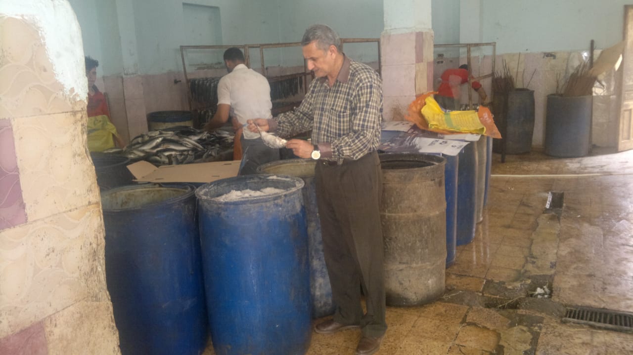 طوارئ بمديريتي الصحة والتموين في محافظات مصر لإستقبال إحتفالات أعياد شم النسيم (1)